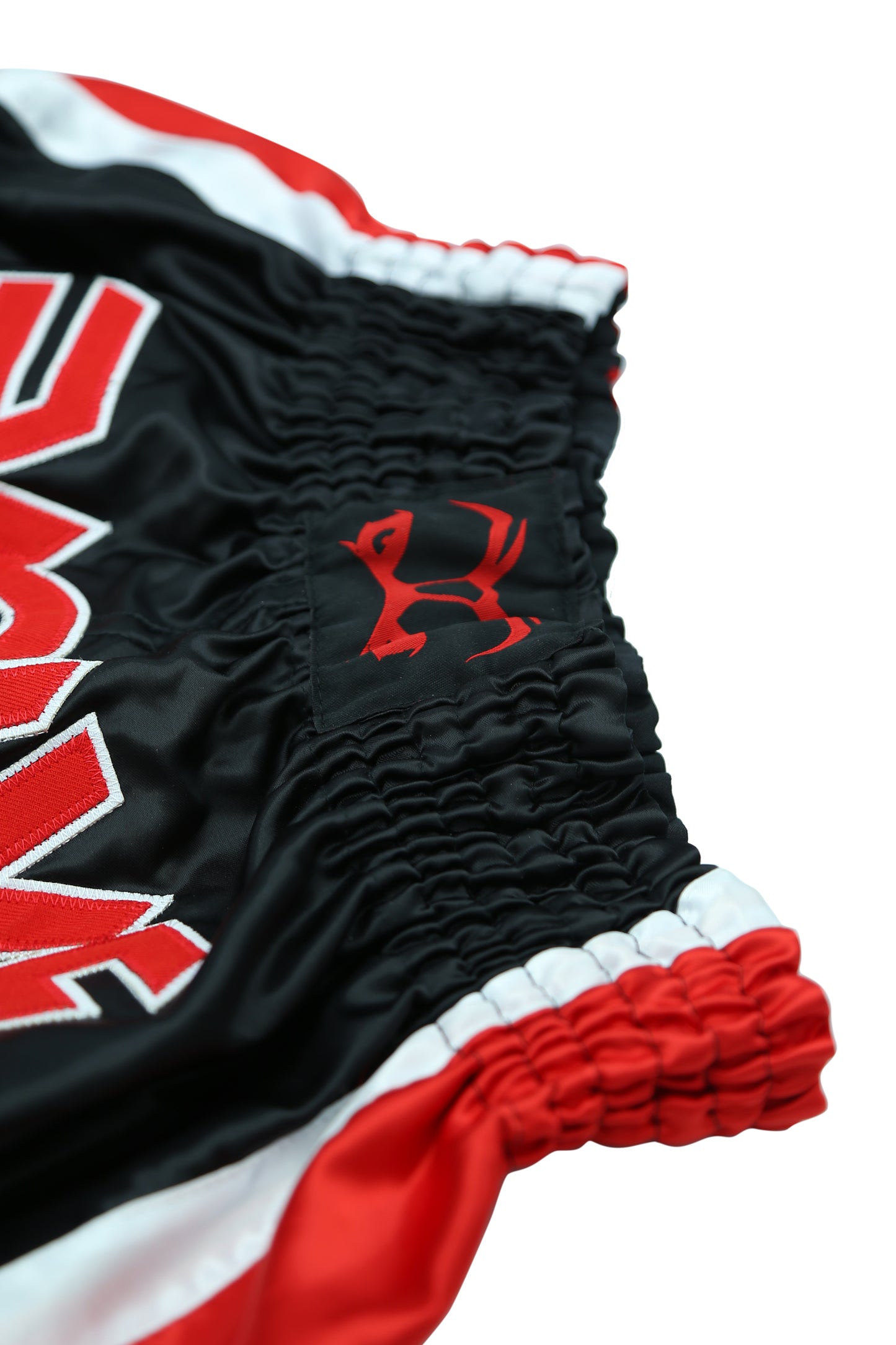 Evolve Muay Thai Shorts | Boxing Grappling Shorts for MMA Kickboxing Muay Thai BJJ for Men and Women …